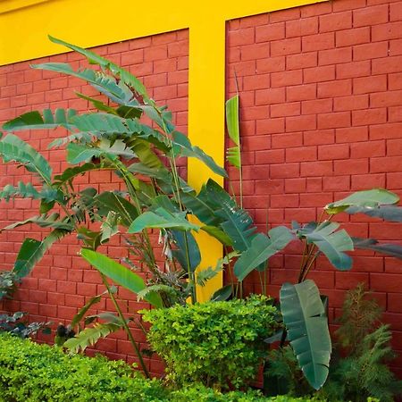 Mvt Guesthouse & Restaurant Rishīkesh Екстериор снимка